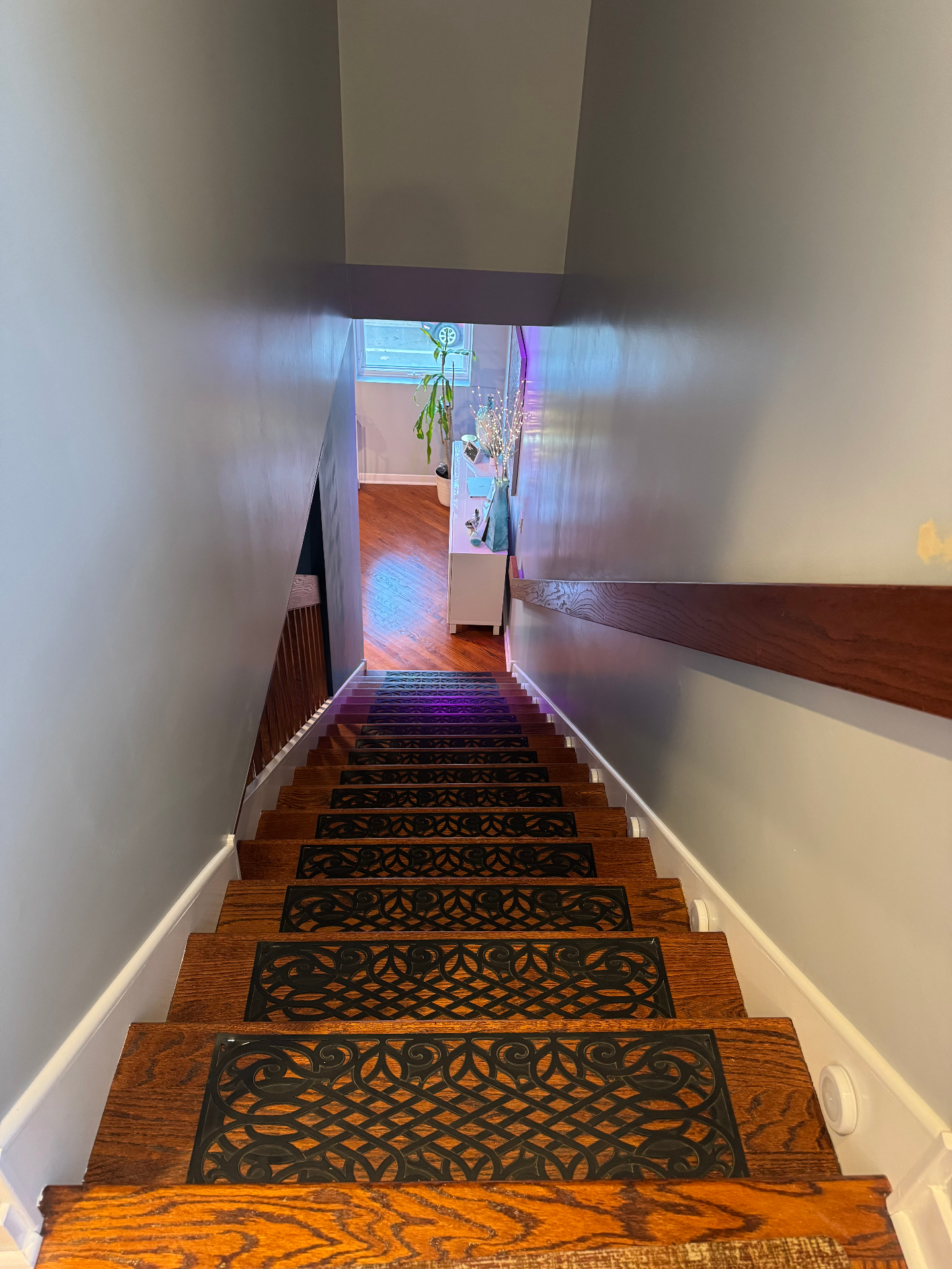 Hardwood staircase with decorative iron stair treads and ambient lighting